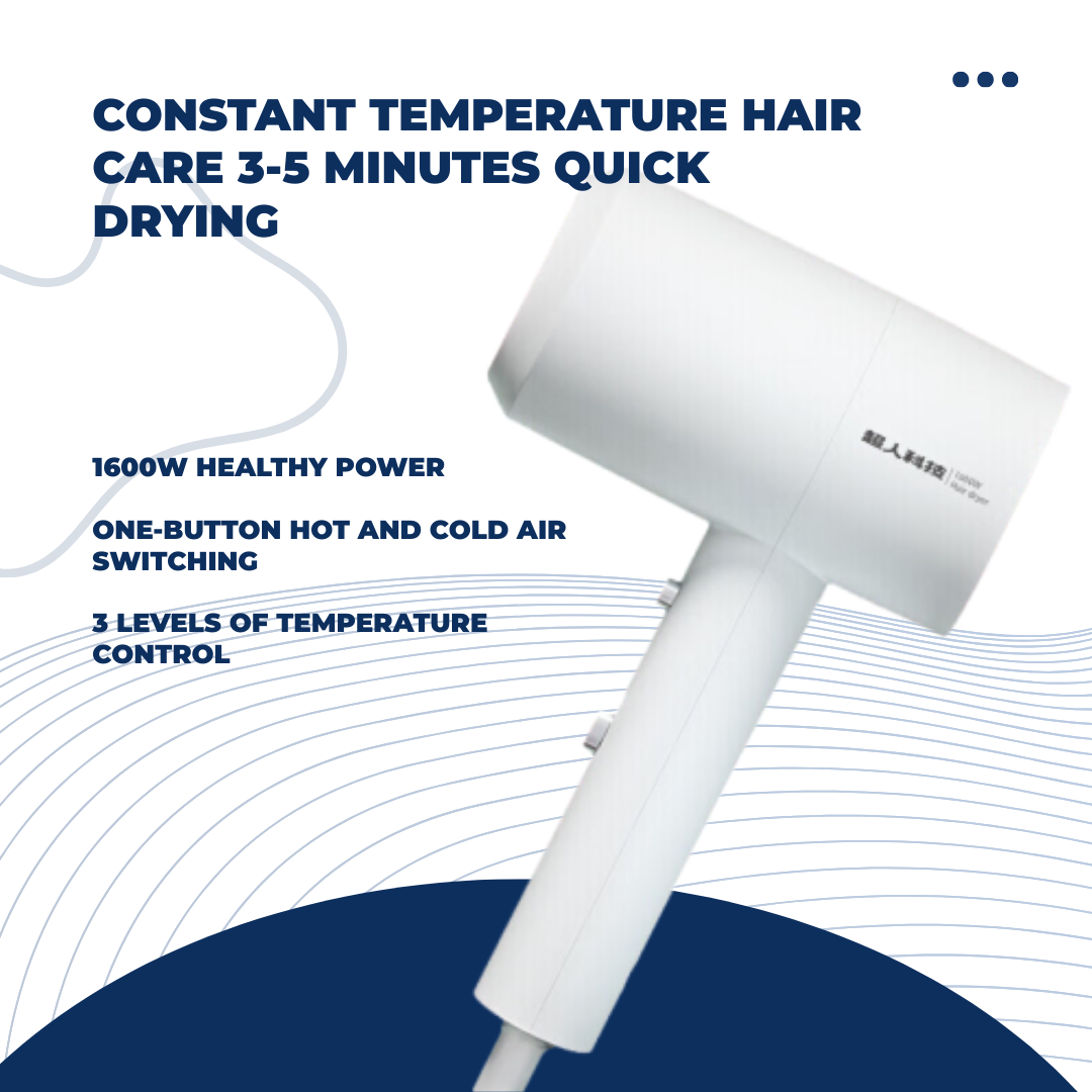 Shasoul Smart Ionic Dryer
