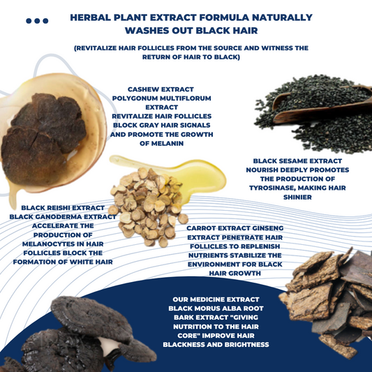 Shasoul Herbal Black Hair