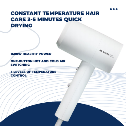 Shasoul Smart Ionic Dryer